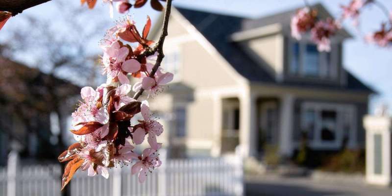 Seasonal Market Insights - Spring 2025